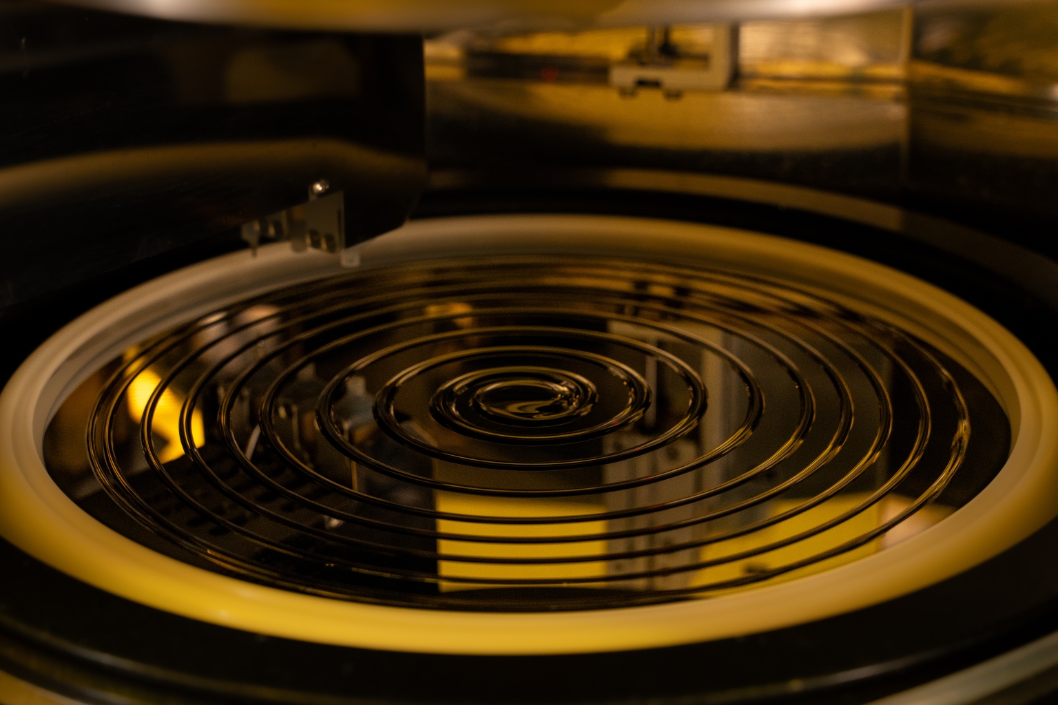 DSC00144_highRes (1).jpg